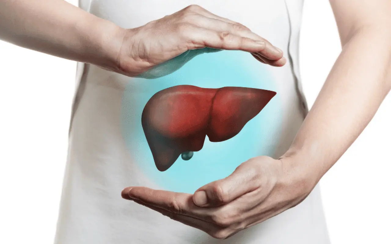 Fegato gonfio: il segnale silenzioso da non ignorare