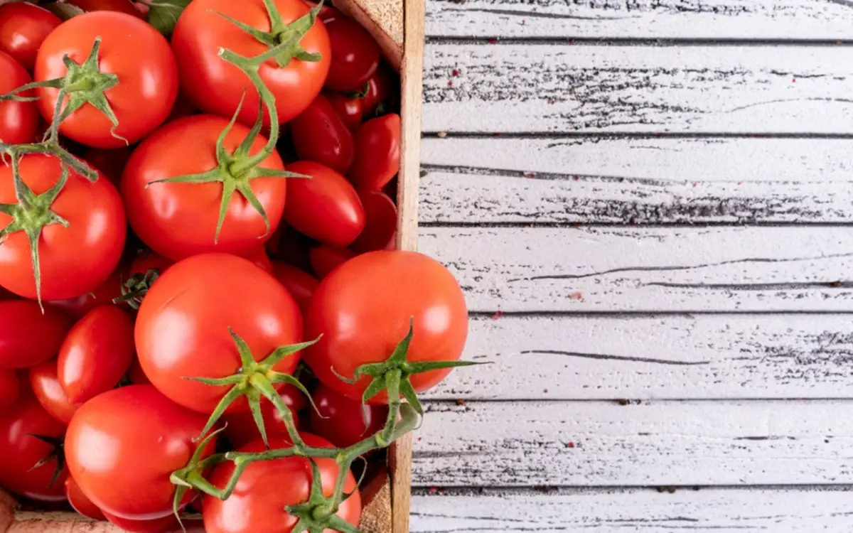 Non mangiare troppi pomodori: ecco i rischi